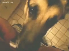 Even a cock craves some petting